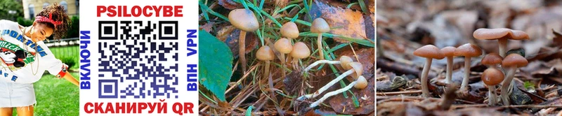 Псилоцибиновые грибы MAGIC MUSHROOMS  Набережные Челны 