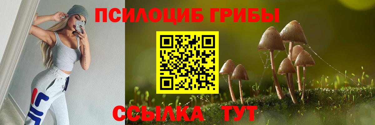 где найти наркотики  Галлюциногенные грибы Cubensis  Вход с VPN  Набережные Челны 